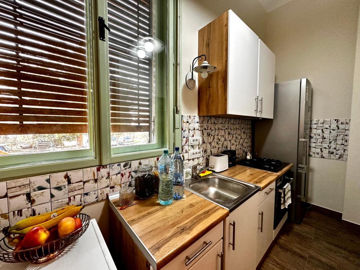 Branko'S Residence Temeşvar Dış mekan fotoğraf